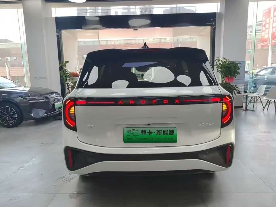 ARCFOX Polar fox koala