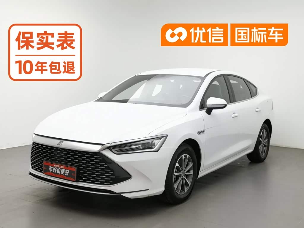 BYD Qin Plus PLUS 2024 DM-i 55KM Lead
