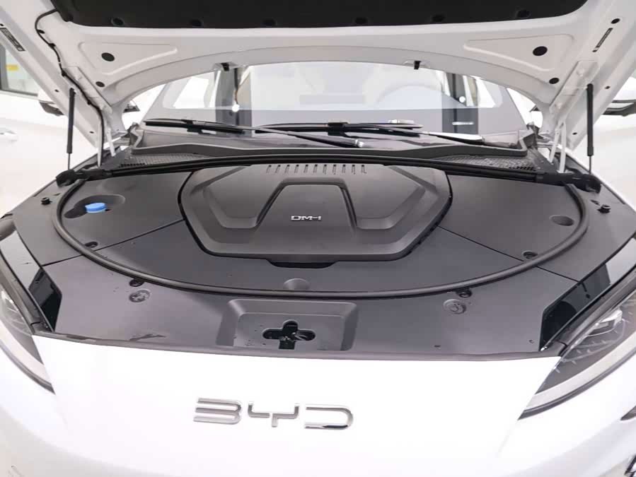 BYD Song PLUS New Energy 2023, фото 26
