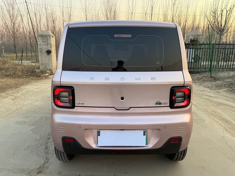 Geely Galaxy panda
