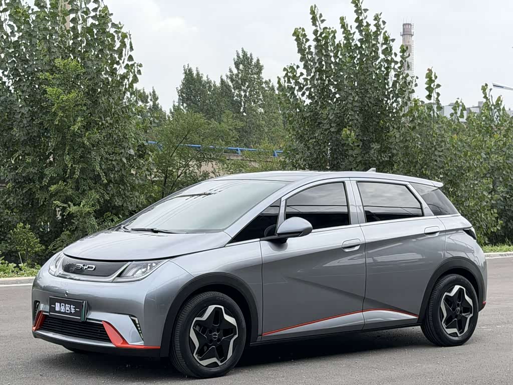 BYD Dolphin