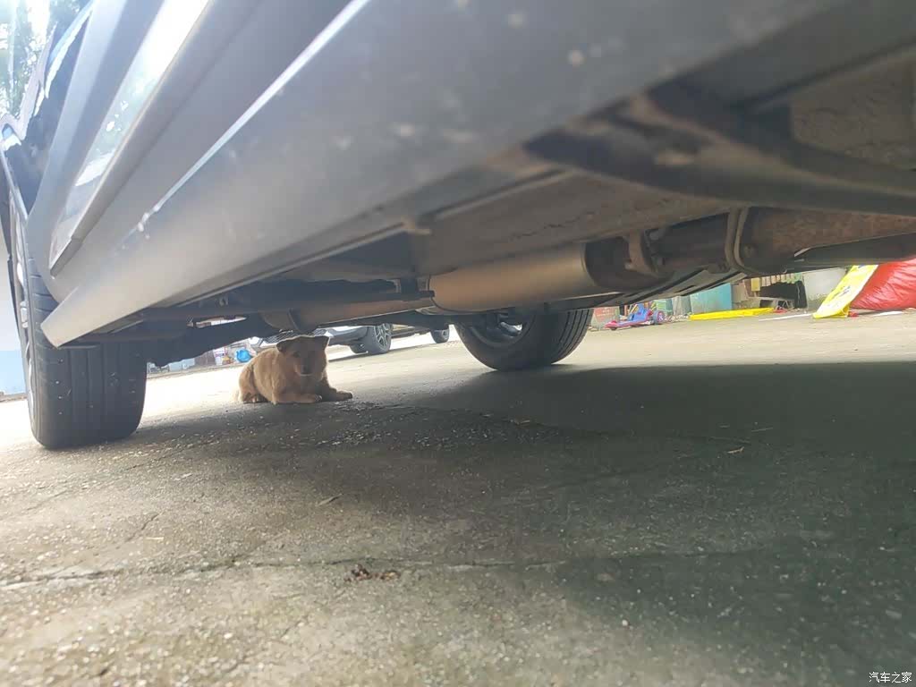 Haval H6, 2023 16