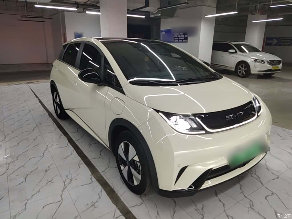 BYD Dolphin, 2024 4