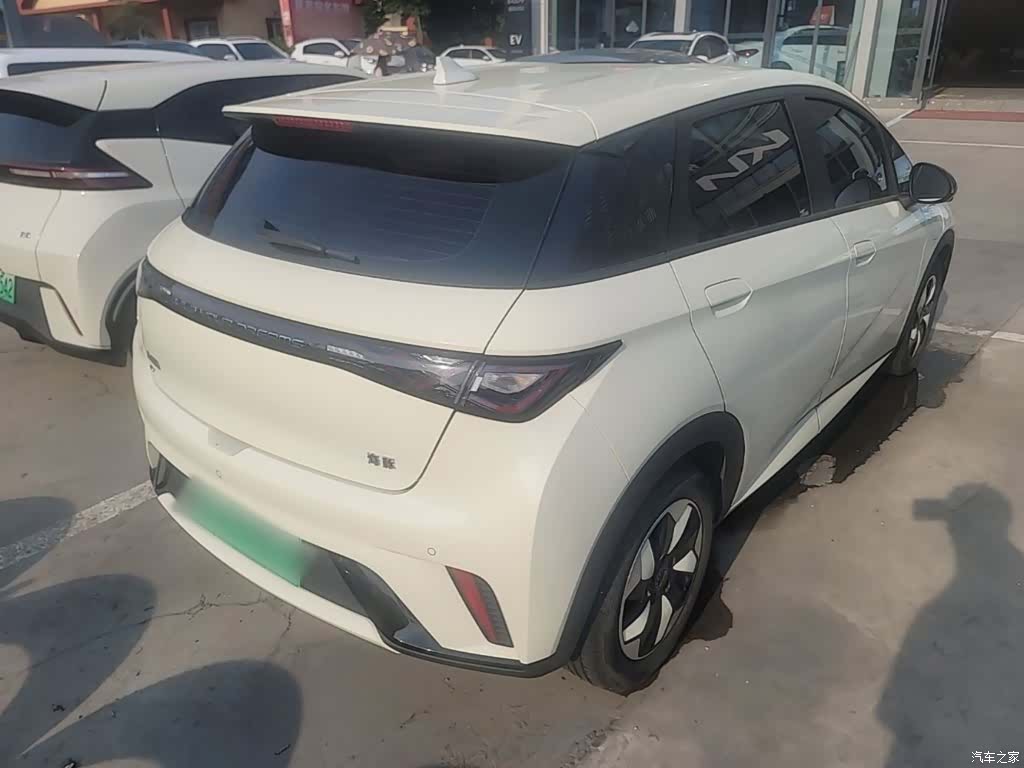 BYD Dolphin, 2024 все фото