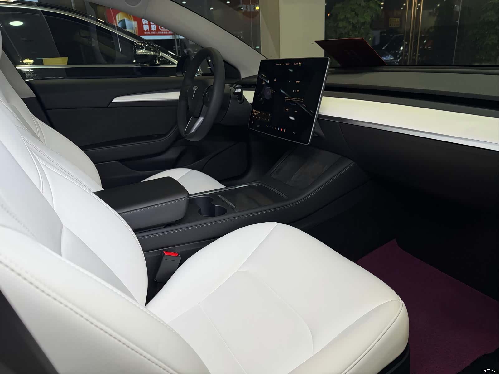 Tesla Model 3, 2021 12