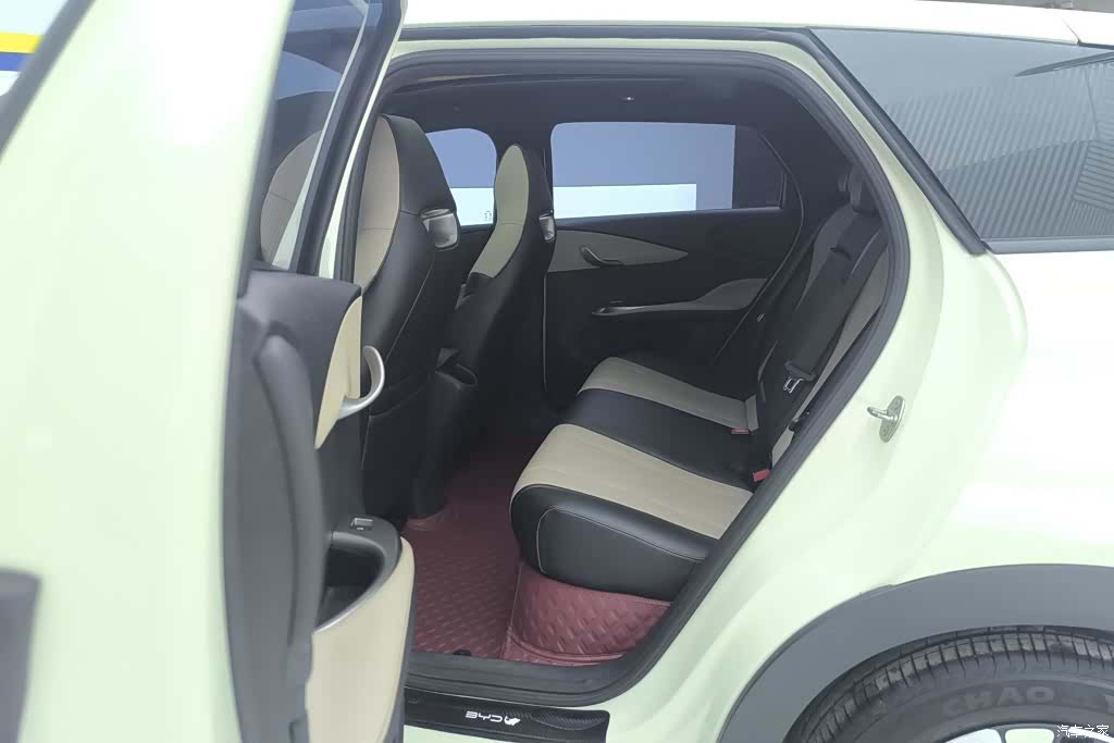 BYD Dolphin, 2024 11