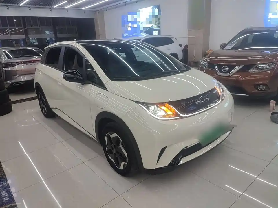 BYD dolphin
