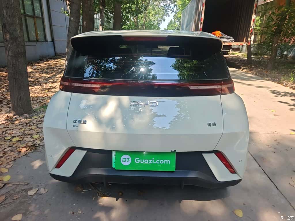 BYD Seagull, 2024 6