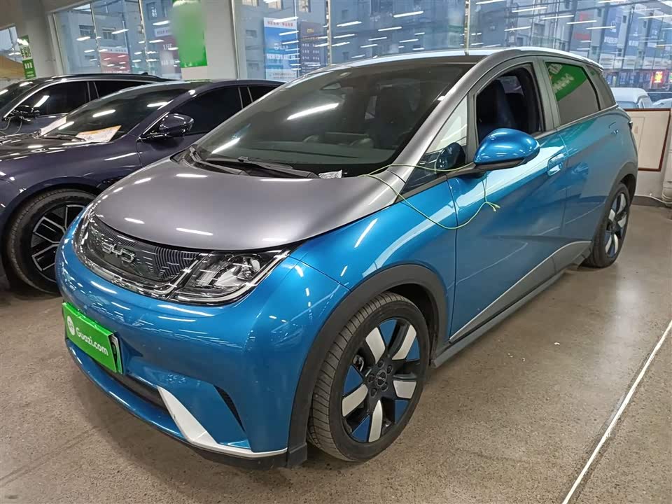 BYD dolphin