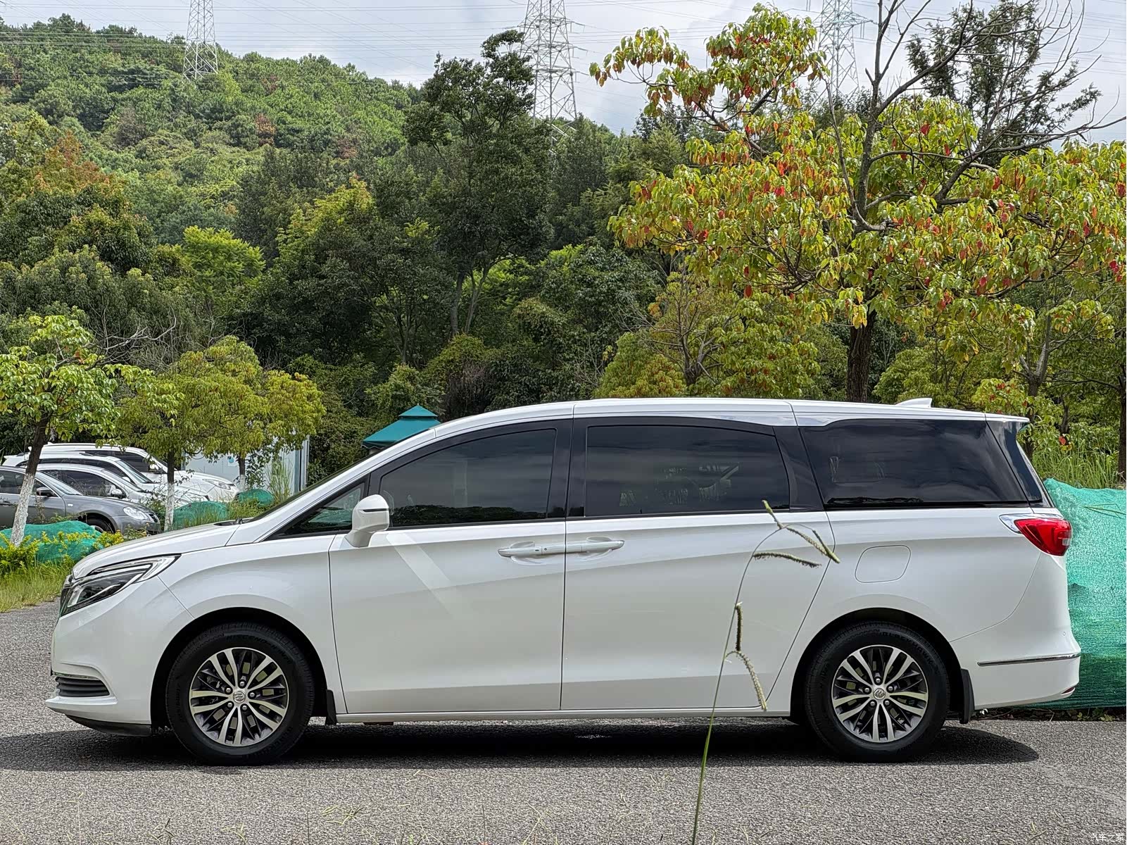 Buick GL8, 2019 3
