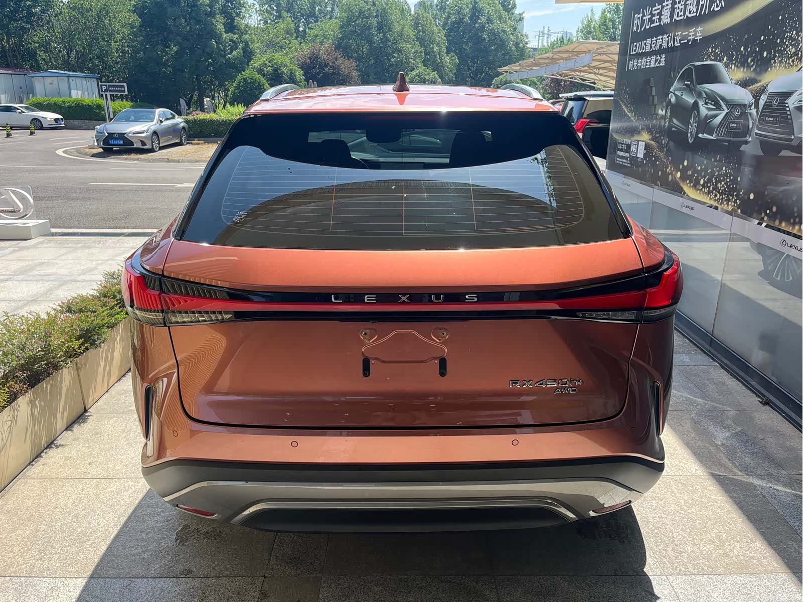Lexus RX, 2023 6