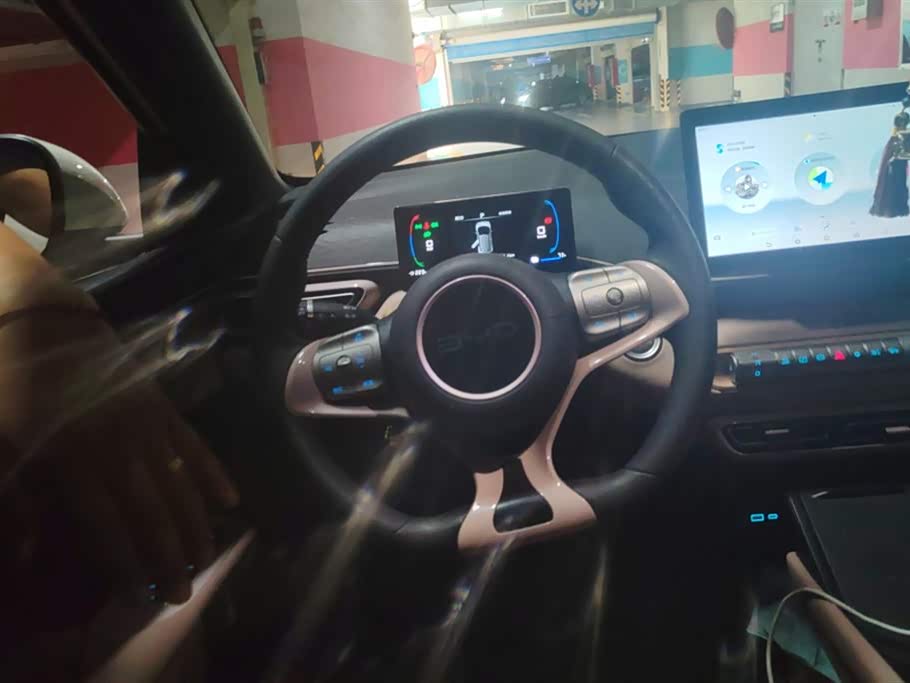 BYD Seagull