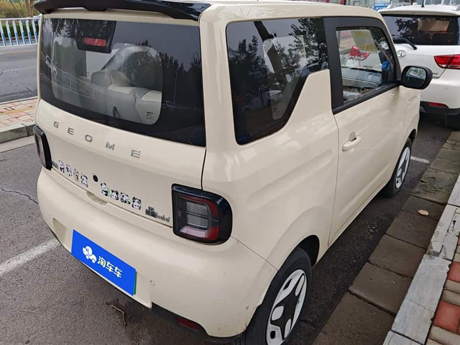 Geely Galaxy panda