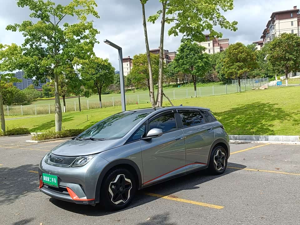 BYD dolphin