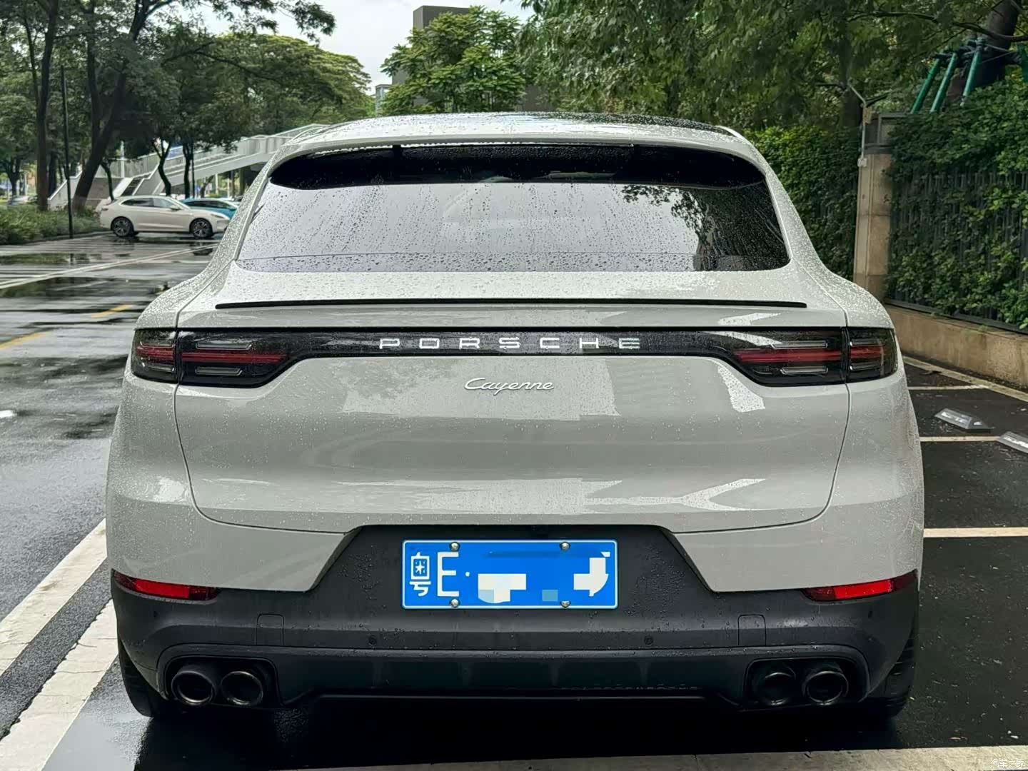 Porsche Cayenne, 2021 все фото