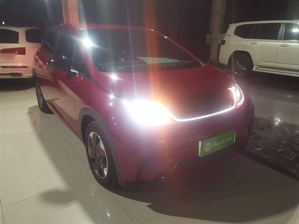 BYD dolphin