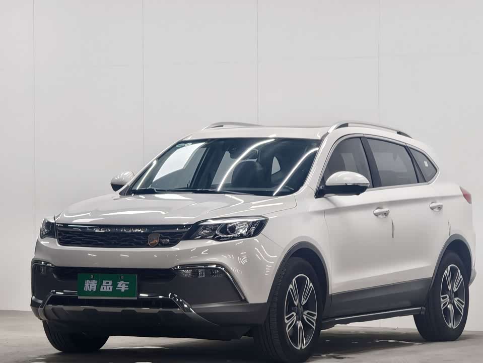 Leopaard Cheetah CS10