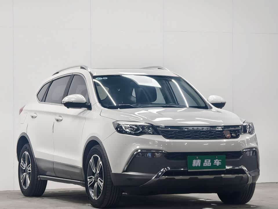 Leopaard Cheetah CS10