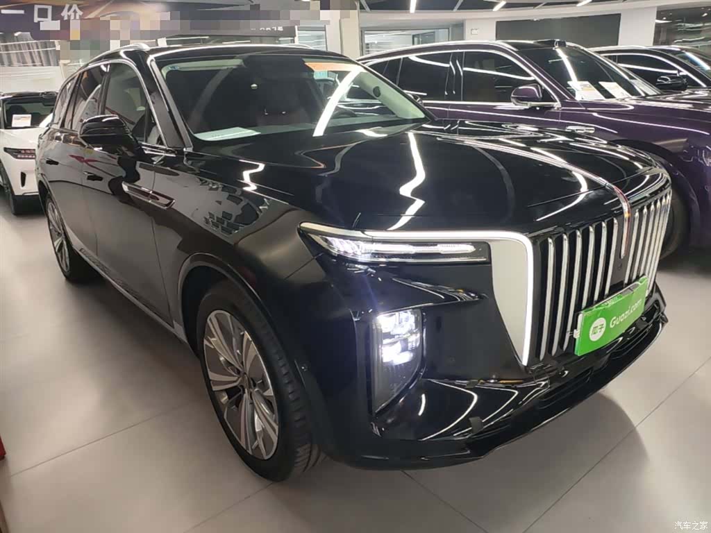 Hongqi E-HS9, 2023 4