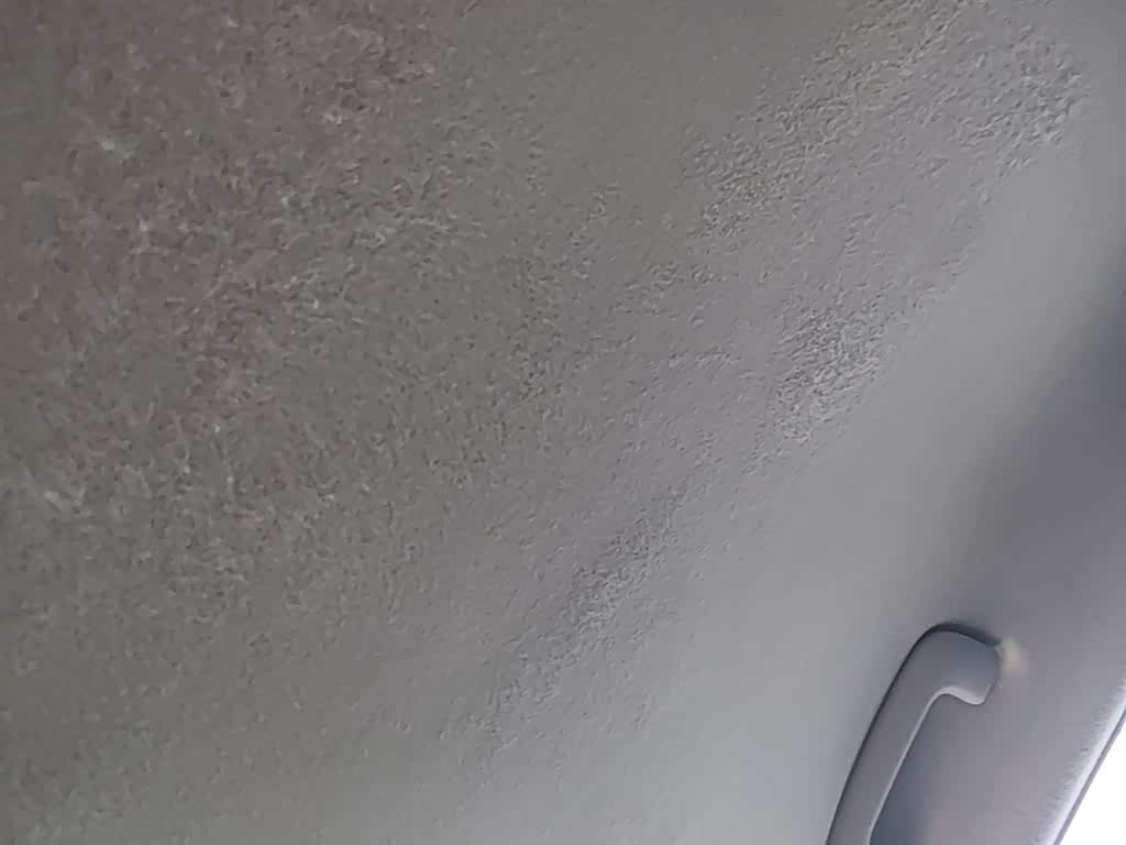 Hyundai GLS, 2018 18