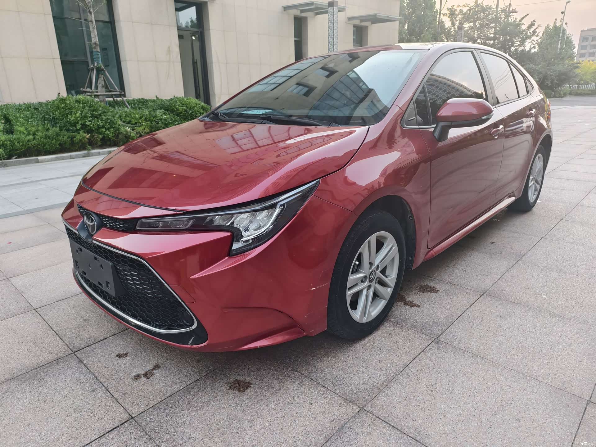 Toyota Levin