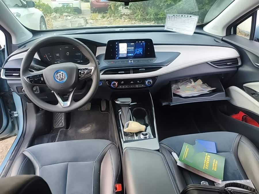 Buick WEY Blue 6 2021, фото 6