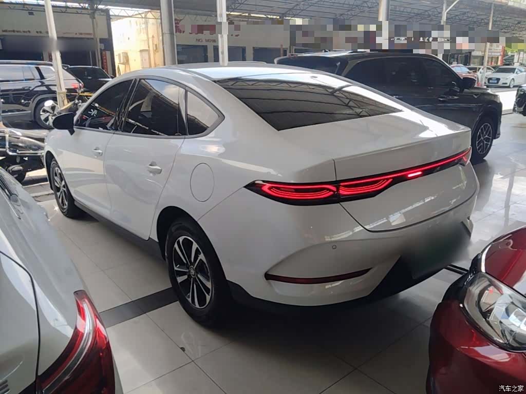 BYD Qin, 2026 все фото