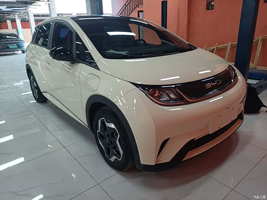 BYD Dolphin, 2023 4