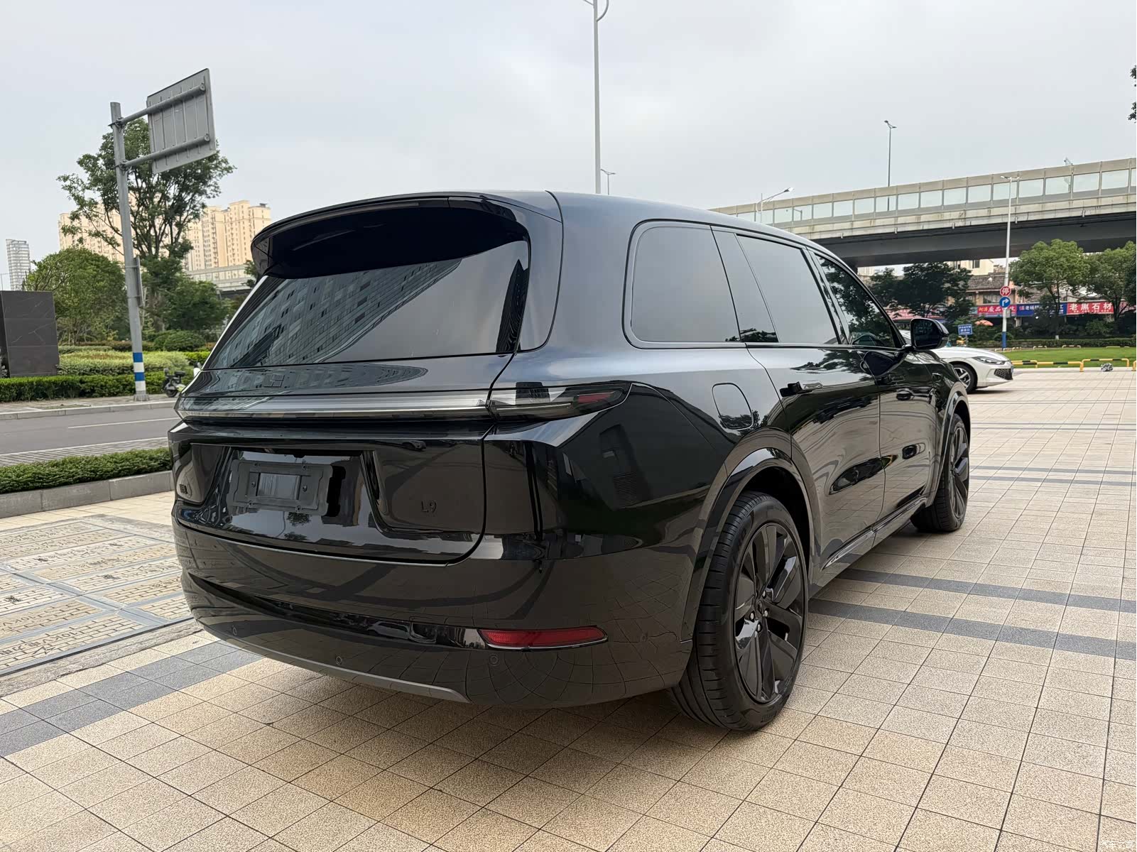 Li Auto L9, 2023 14