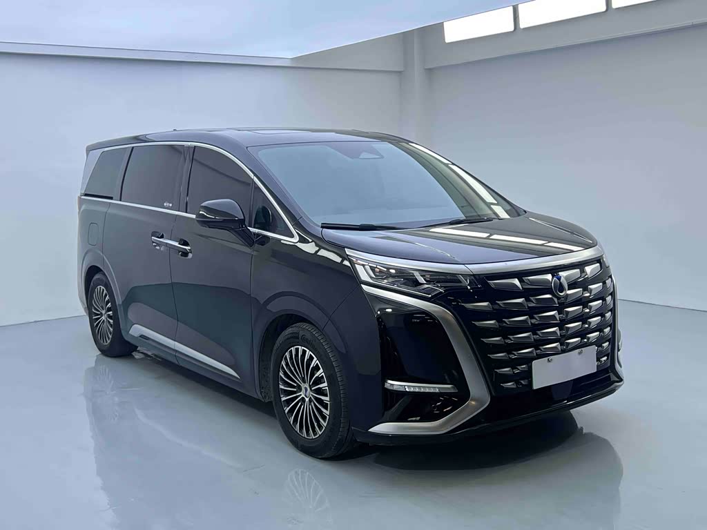 Denza D9