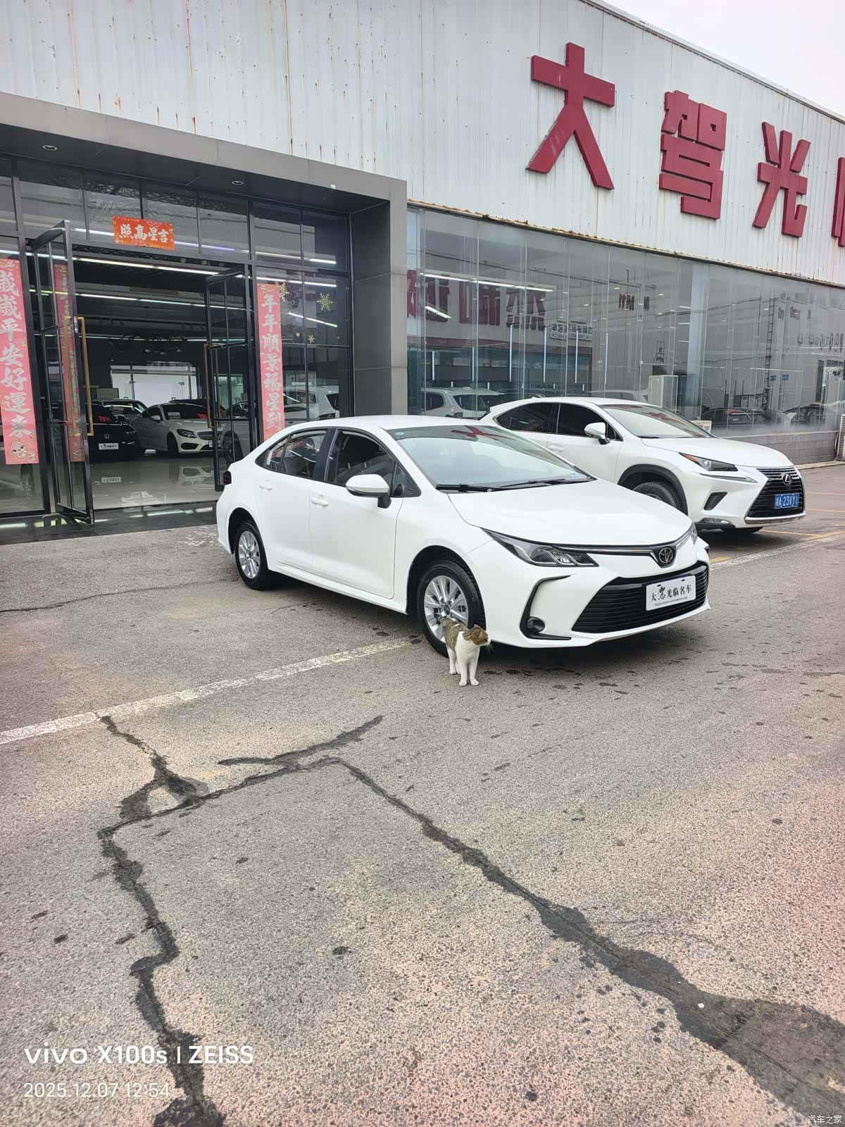 Toyota Corolla, 2024 2