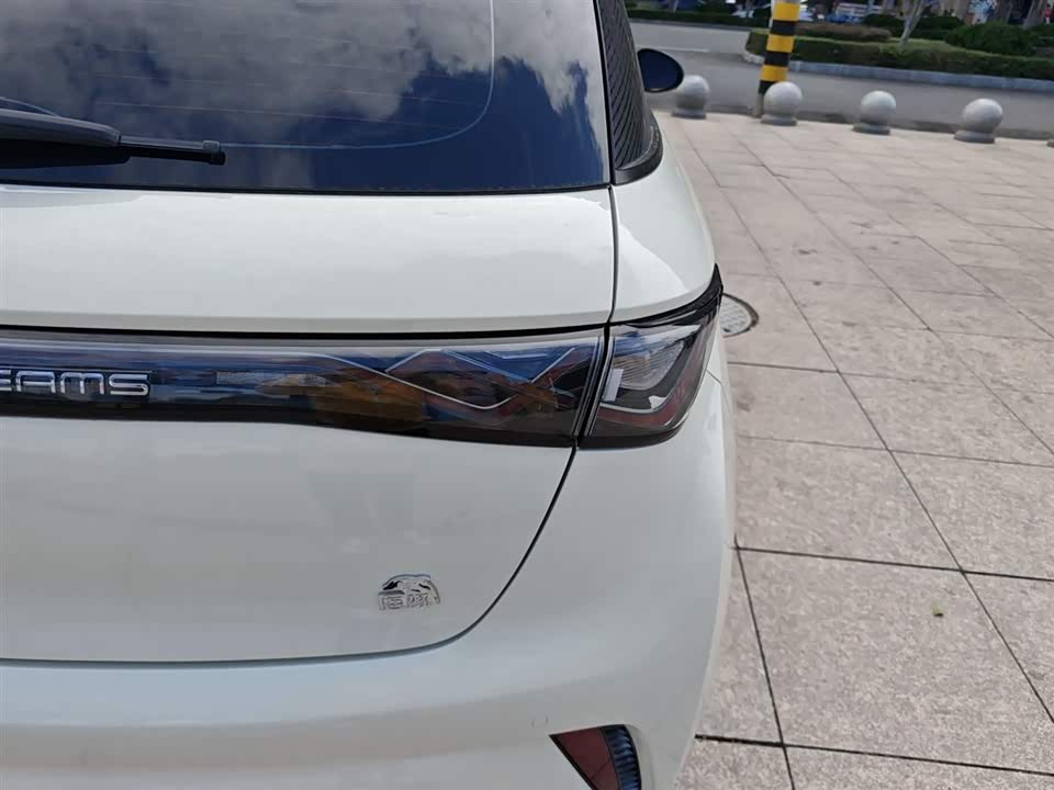 BYD dolphin