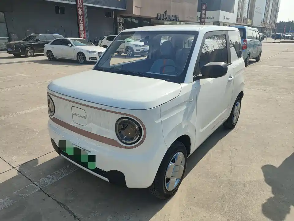 Geely Galaxy panda
