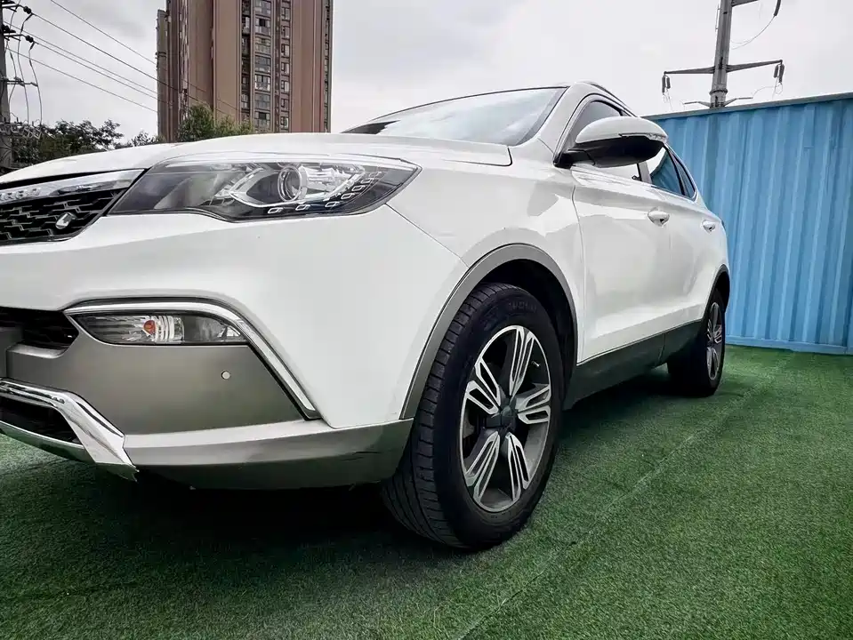 Leopaard Cheetah CS10