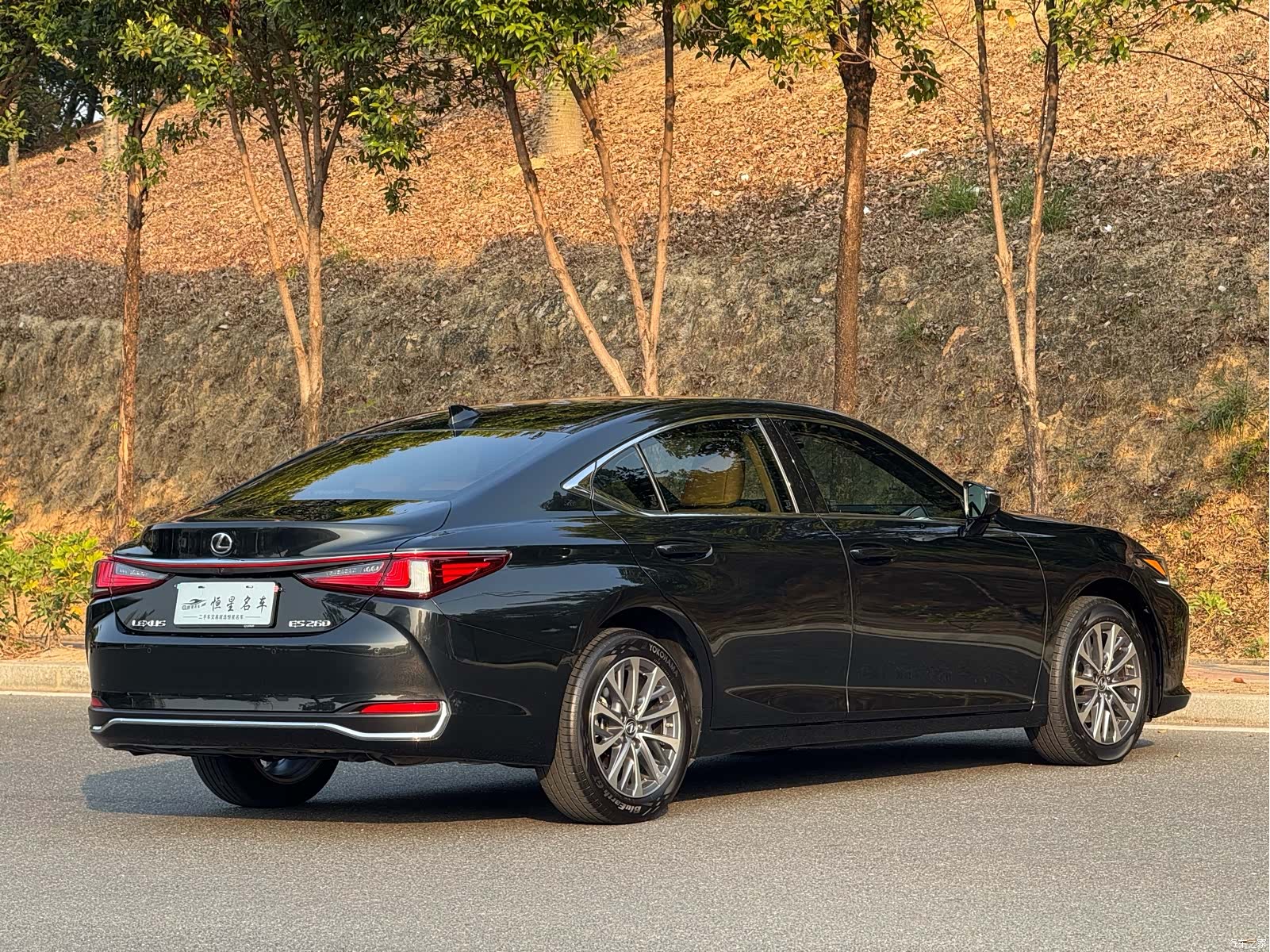 Lexus ES, 2024 9