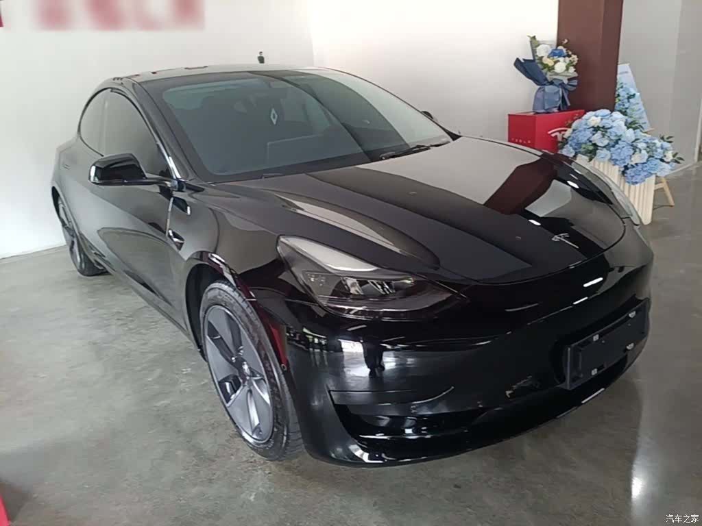 Tesla Model 3, 2021 4