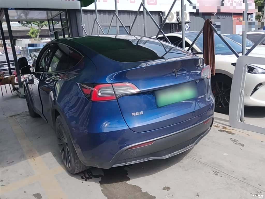 Tesla Model Y, 2021 все фото