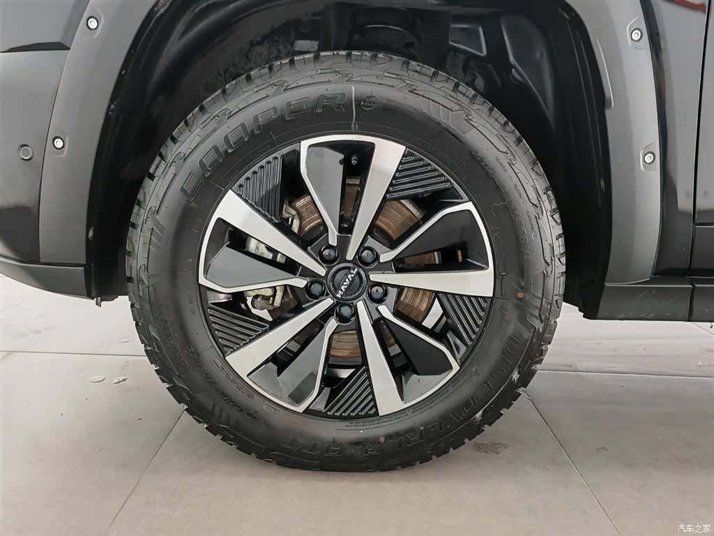 Haval Big Dog, 2023 17
