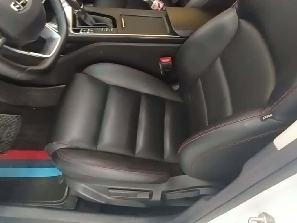 Geely Binray, 2020 15