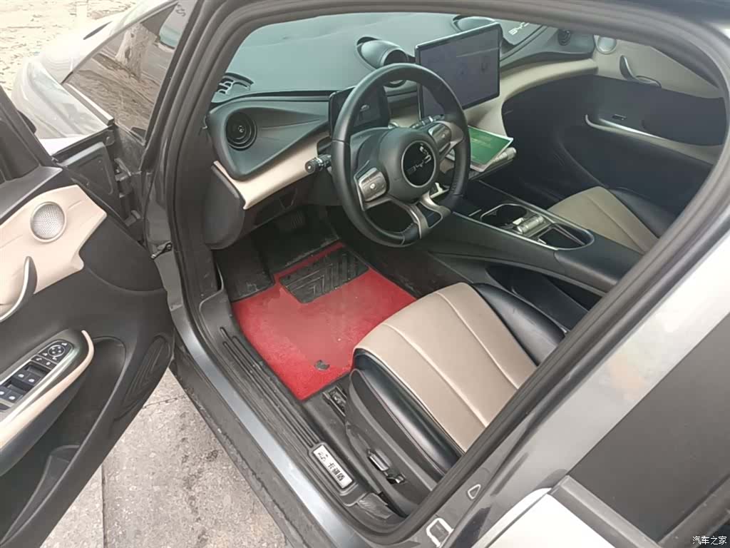 BYD Dolphin, 2024 16