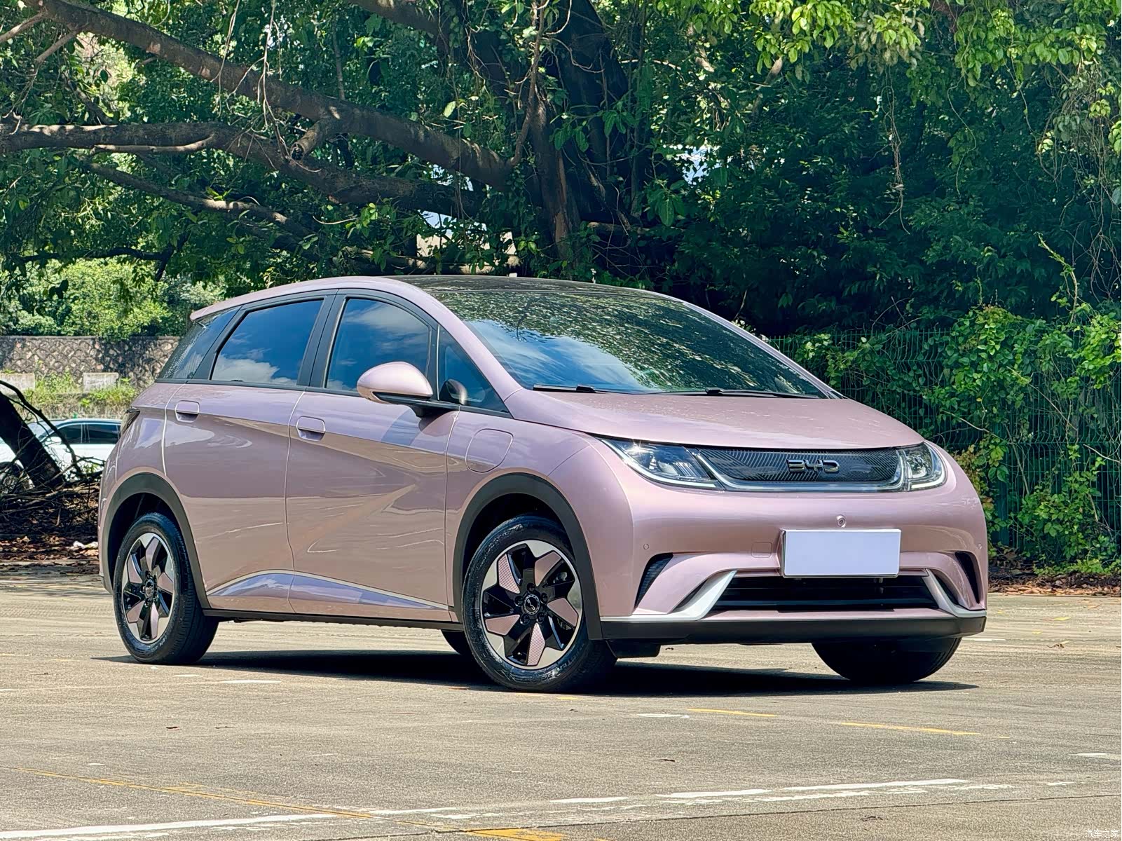 BYD Dolphin, 2024 3