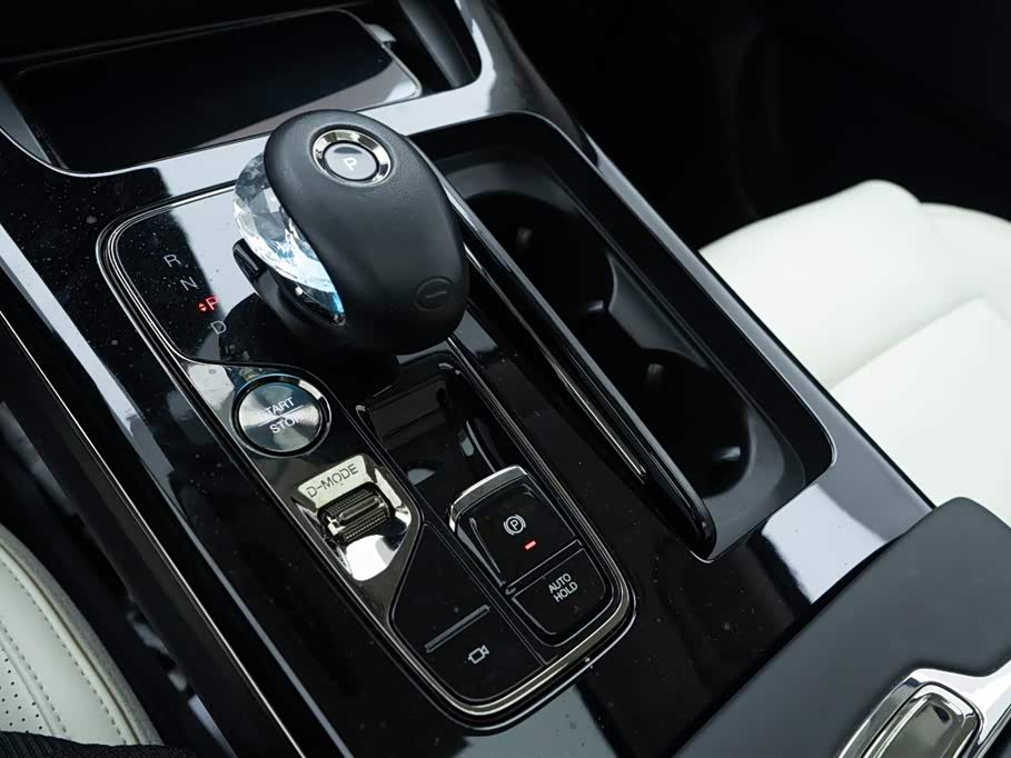 Trumpchi Trumpchi E9