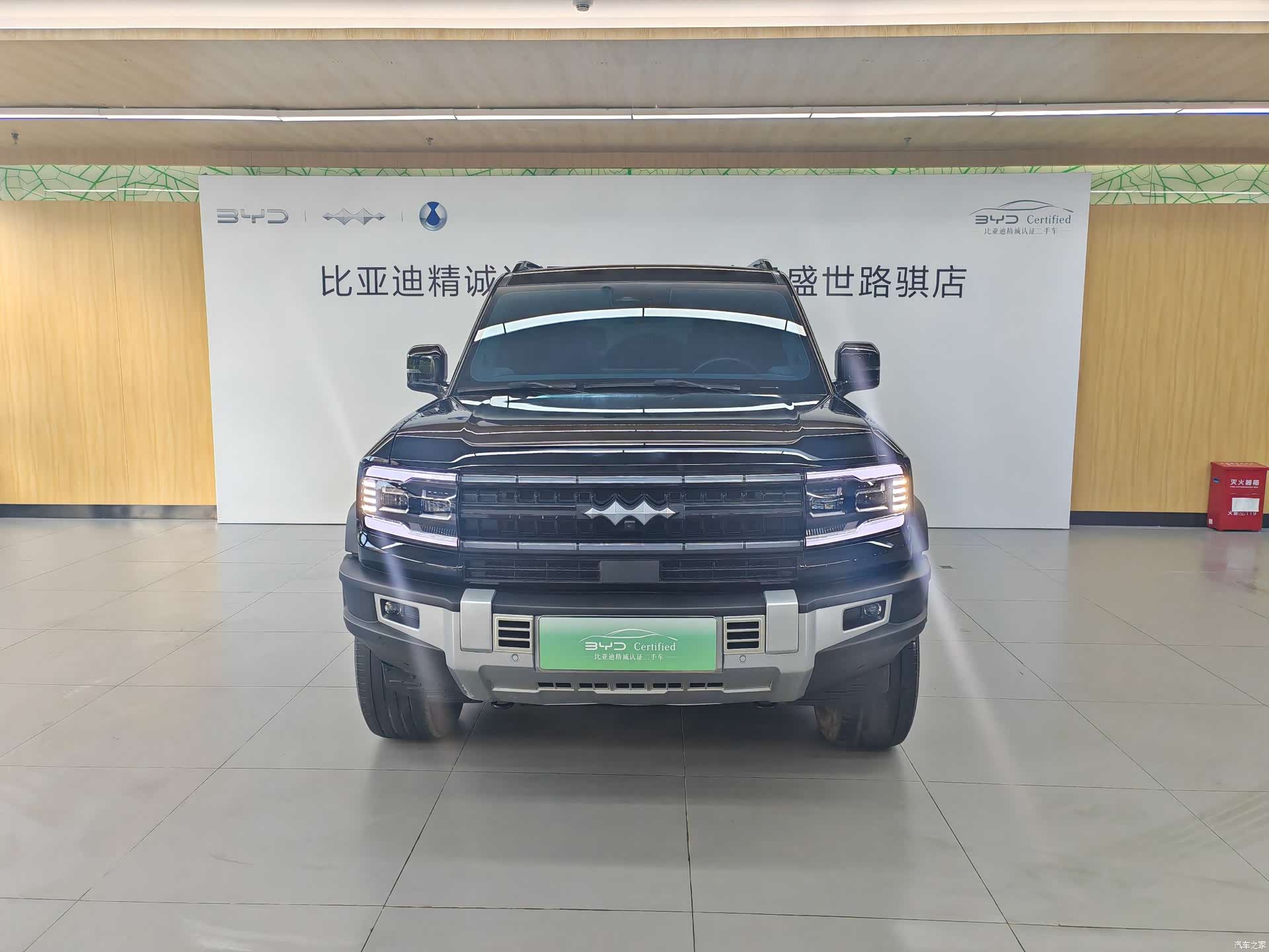 Fang Cheng Bao Bao 5, 2024 2