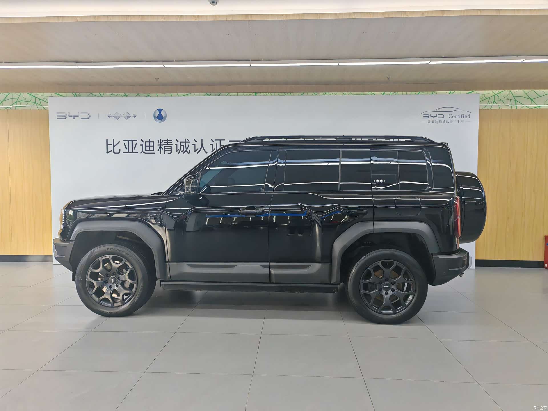 Fang Cheng Bao Bao 5, 2024 4