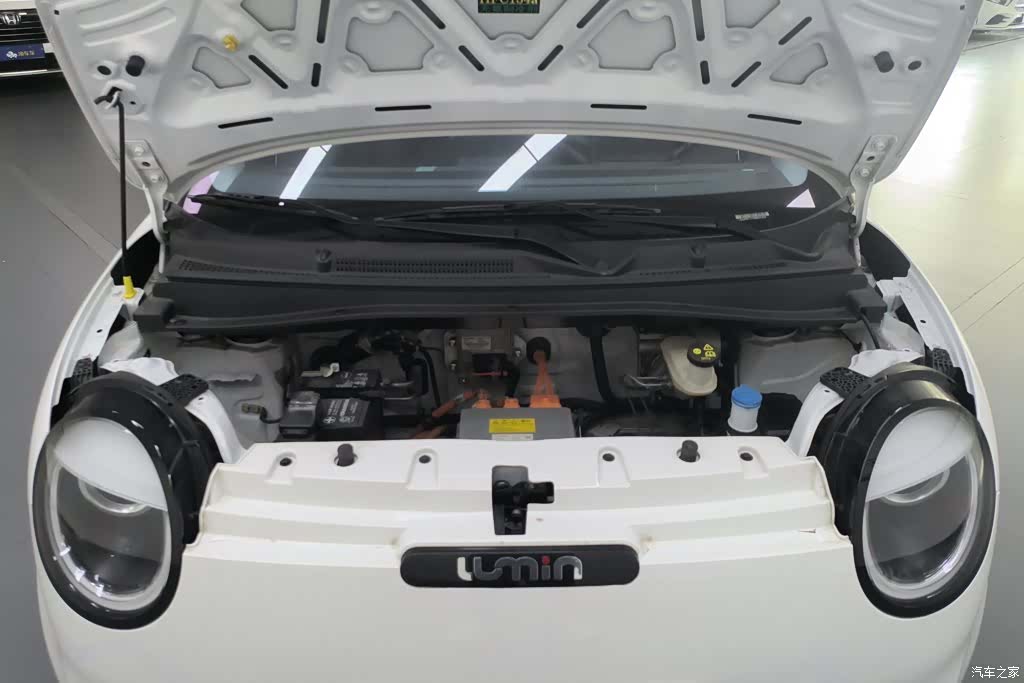 Changan Lumin, 2024 10