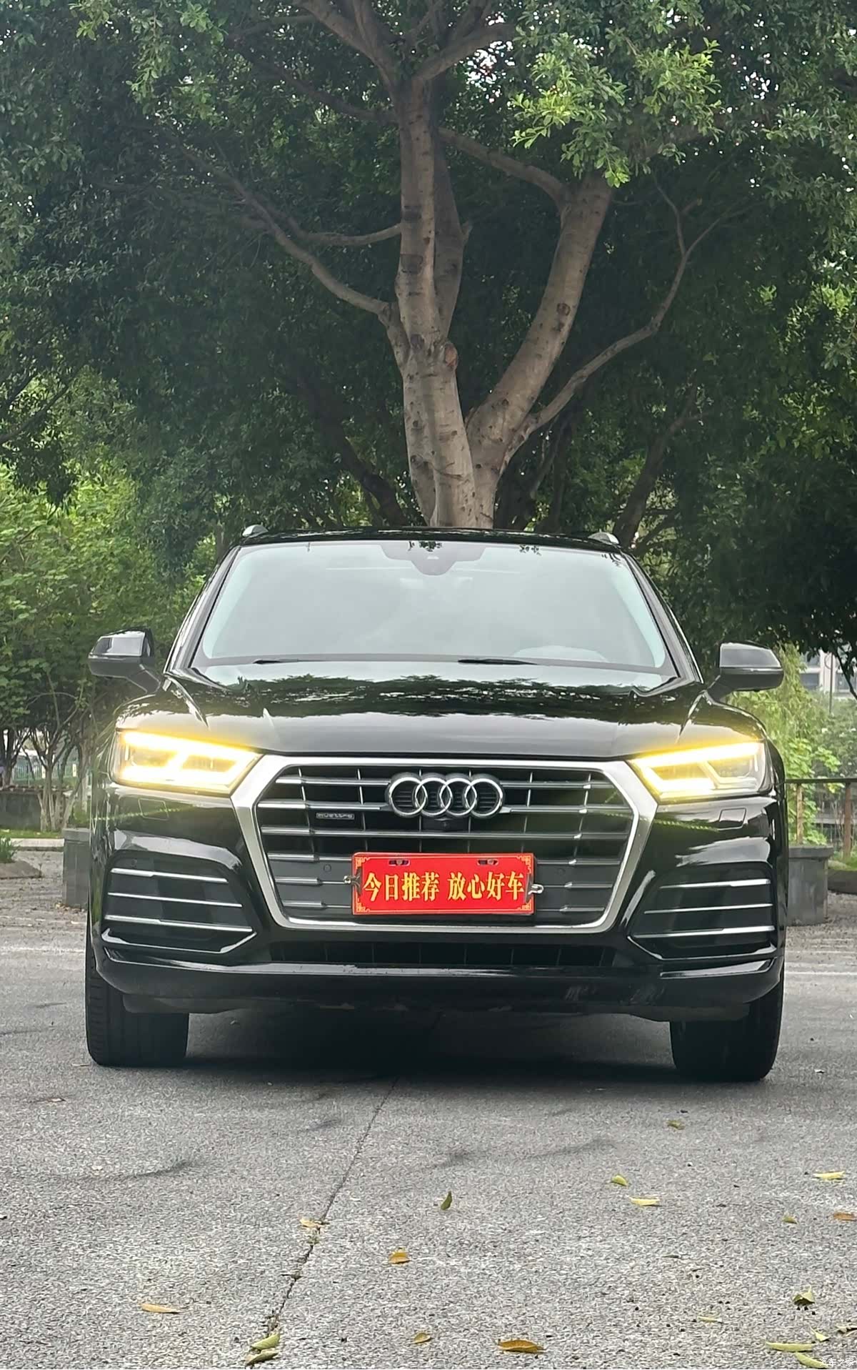 Audi Q5L, 2019 2