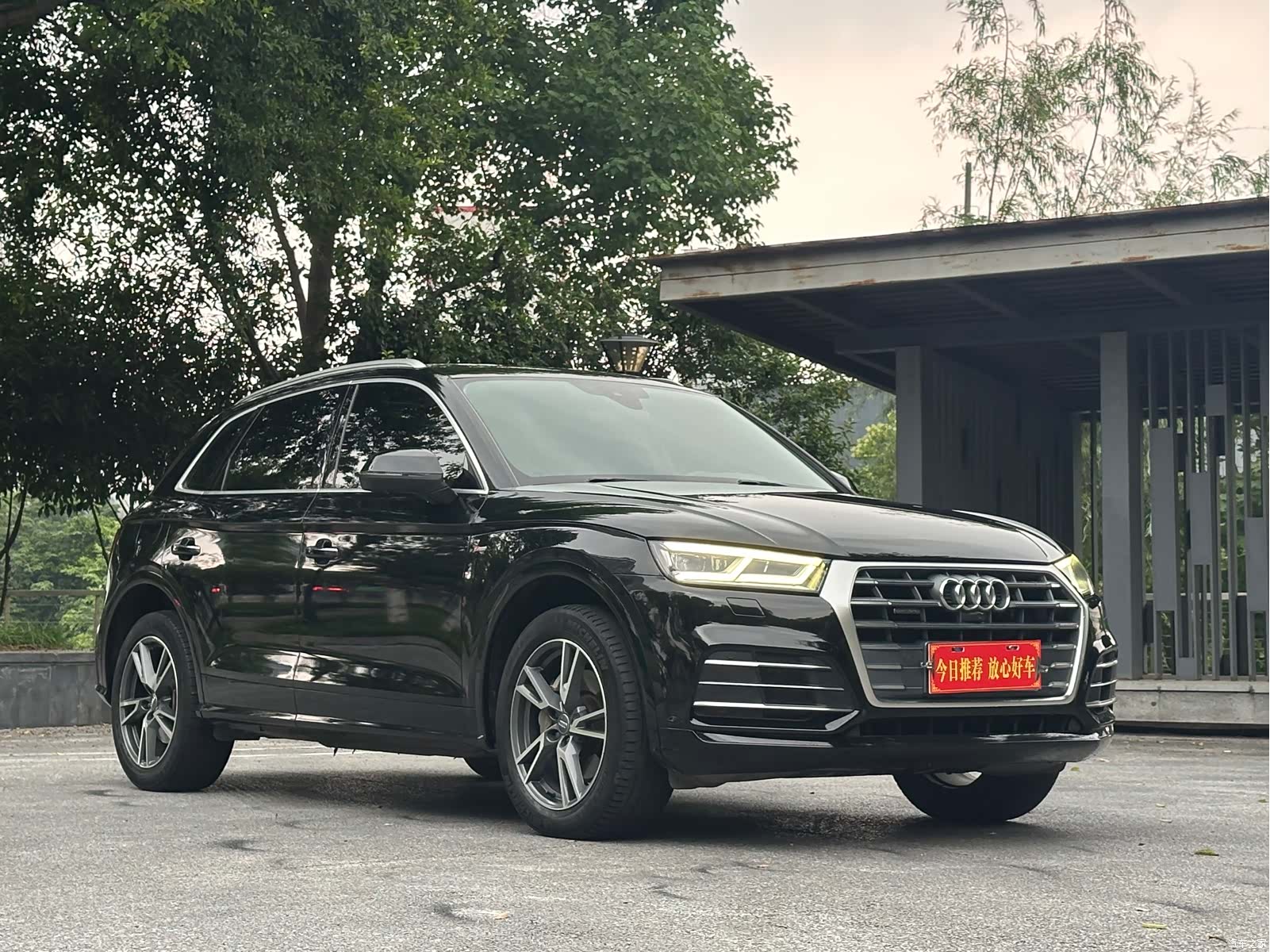 Audi Q5L, 2019 все фото