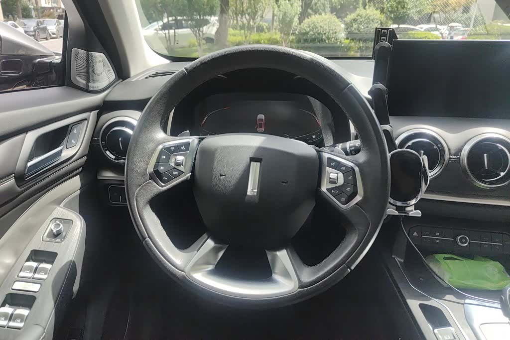 WEY VV6, 2020 15