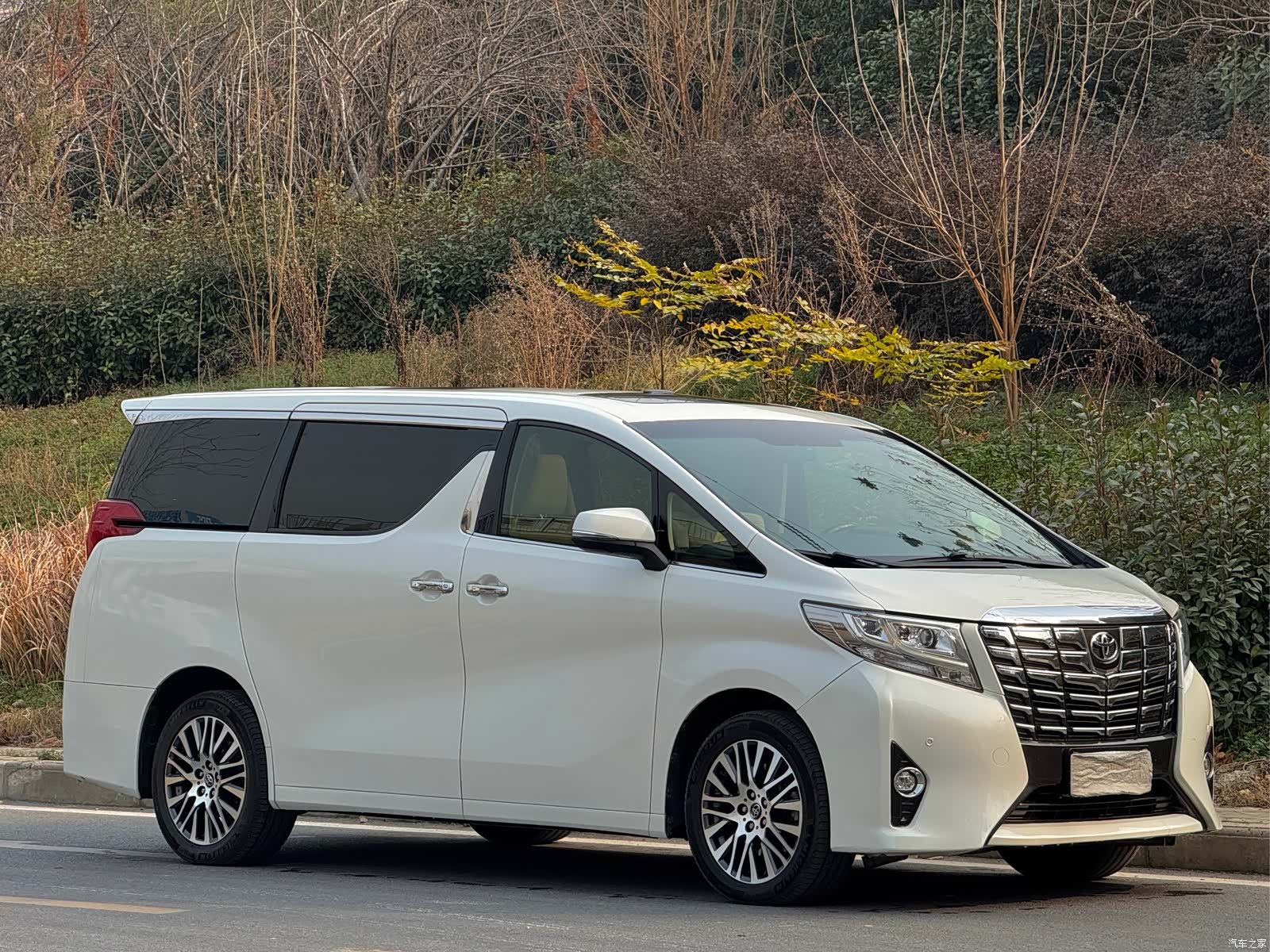 Toyota Alphard, 2017 4