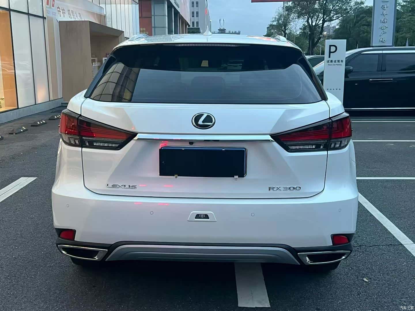 Lexus RX, 2021 8